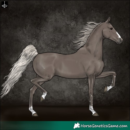 Horse Color:Silver Black 