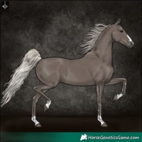 Horse Color:Silver Black 