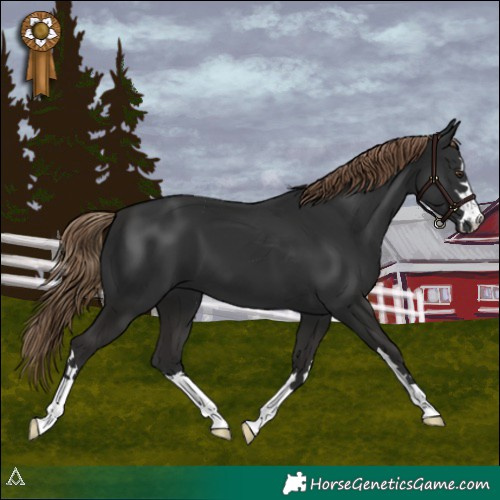 Horse Color:Liver Chestnut 