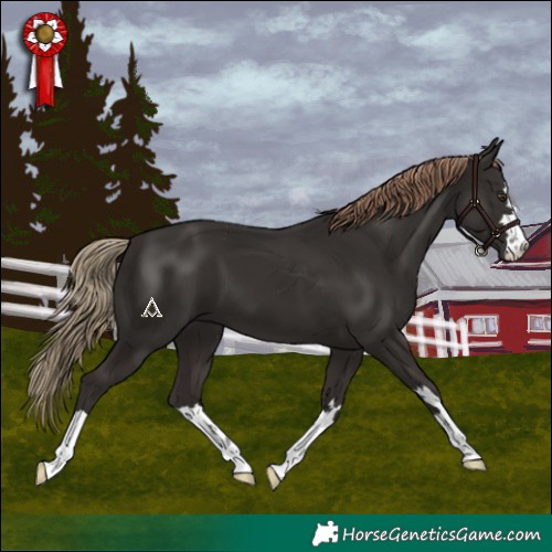 Horse Color:Liver Chestnut 