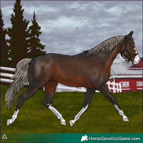 Horse Color:Liver Chestnut