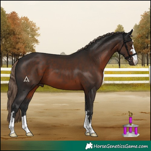 Horse Color:Liver Chestnut 
