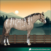 Horse Color:Powder White Liver Red Dun 