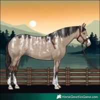 Horse Color:Powder White Liver Red Dun 