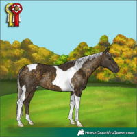 Horse Color:Silver Buckskin Tobiano 