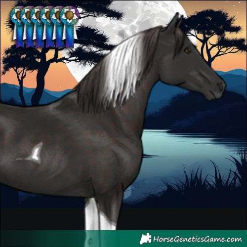 Horse Color:Liver Chestnut Tobiano 