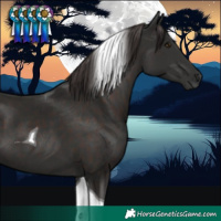 Horse Color:Liver Chestnut Tobiano 