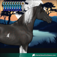 Horse Color:Liver Chestnut Tobiano 