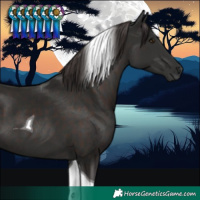 Horse Color:Liver Chestnut Tobiano 