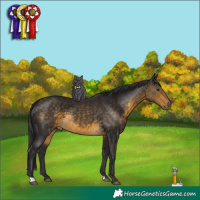 Horse Color:Buckskin 