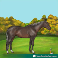 Horse Color:Silver Black 