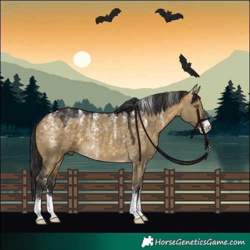 Horse Color:Powder White Buckskin Dun 