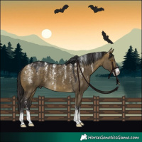 Horse Color:Powder White Buckskin Dun 