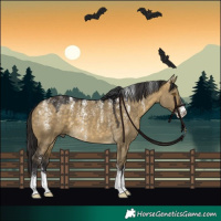 Horse Color:Powder White Buckskin Dun 