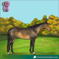 Horse Color:Buckskin 