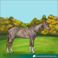 Horse Color:Liver Chestnut  and Liver Red Dun 