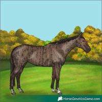 Horse Color:Liver Chestnut  and Liver Red Dun 
