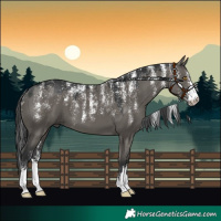 Horse Color:Powder White Grullo 