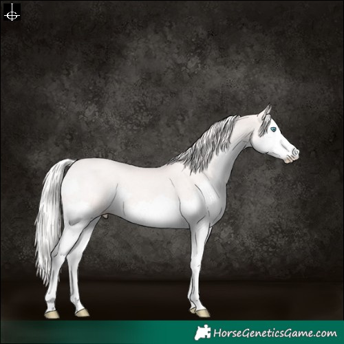 Horse Color:Platinum Chestnut Snowdrop Splash 