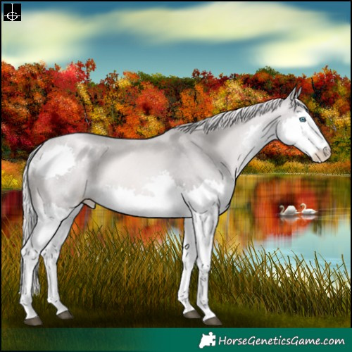 Horse Color:Platinum Chestnut Pearl Splash 