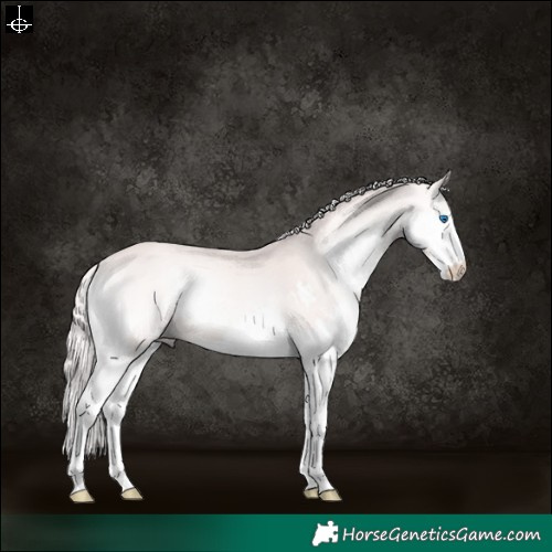 Horse Color:Platinum Red Onyx Splash 