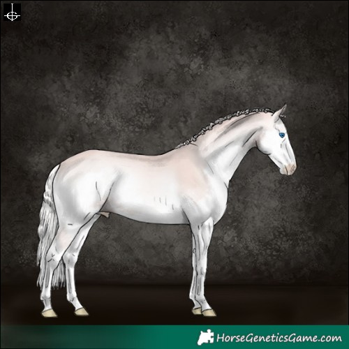 Horse Color:Platinum Red Onyx Splash 