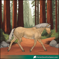 Horse Color:Palomino Dun