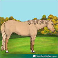 Horse Color:Red Dun 