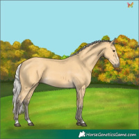Horse Color:Silver Buckskin 