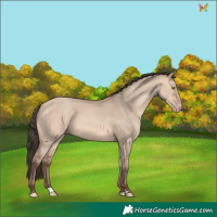 Horse Color:Amber Champagne Dun 