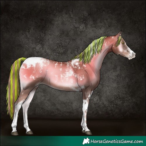 Horse Color:Powder White Painted Liver Red Onyx Pearl Mushroom Tobiano 