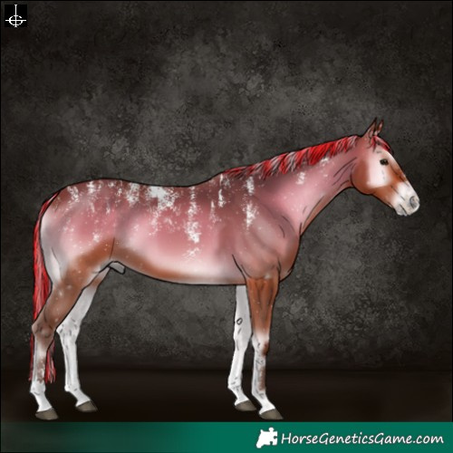 Horse Color:Powder White Painted Silver Brown Onyx 