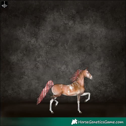 Horse Color:Powder White Gray Painted Silver Bay Onyx 