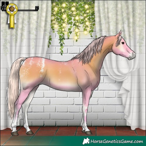 Horse Color:Powder White Watercolor Silver Bay Onyx 