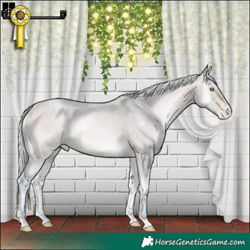 Horse Color:Powder White Watercolor Silver Buckskin Pearl Onyx 