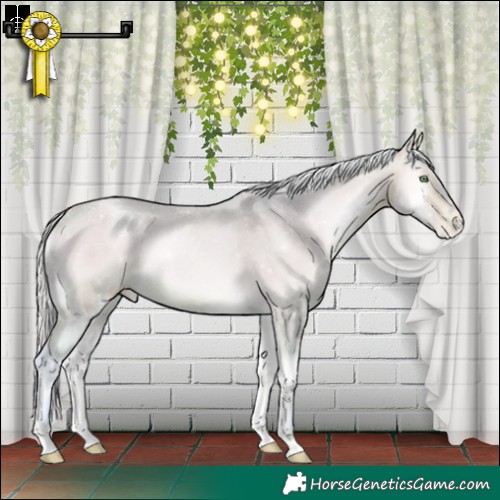 Horse Color:Powder White Watercolor Silver Buckskin Pearl Onyx 