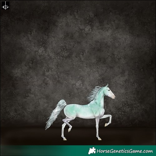 Horse Color:Powder White Watercolor Silver Buckskin Pearl Onyx 