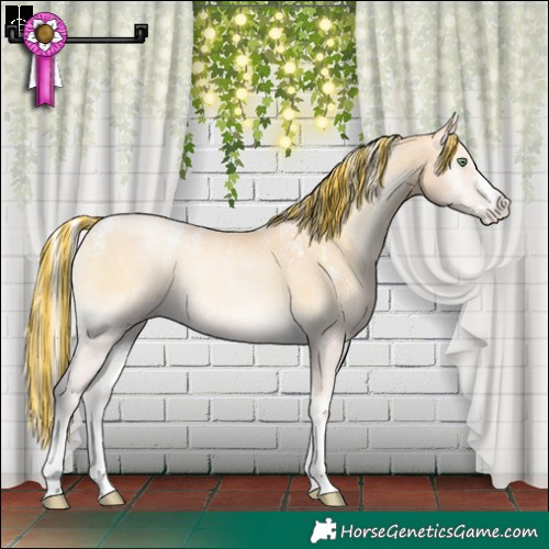Horse Color:Powder White Painted Silver Buckskin Pearl Onyx 