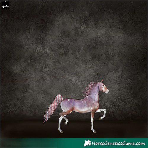 Horse Color:Powder White Painted Silver Bay Onyx 