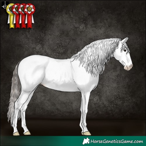 Horse Color:Grullo Sabino Splash Tobiano Appaloosa Rabicano 