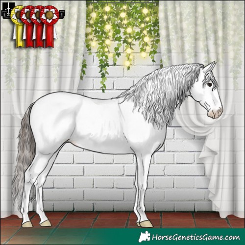 Horse Color:Grullo Sabino Splash Tobiano Leopard Rabicano 