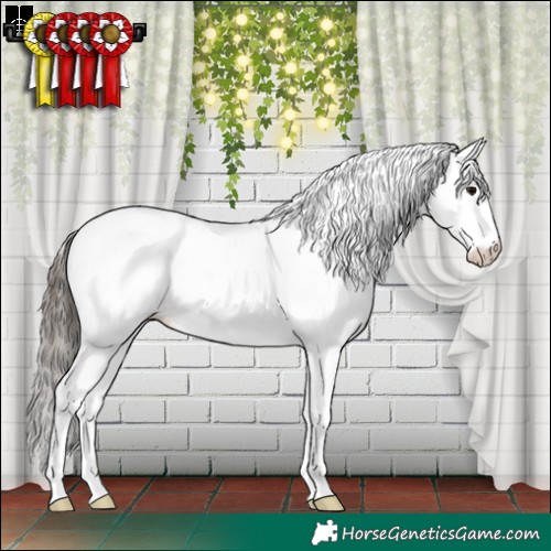 Horse Color:Grullo Sabino Splash Tobiano Appaloosa Rabicano 