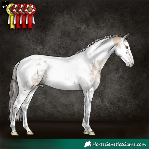 Horse Color:Classic Champagne Dun Sabino Splash Tobiano Rabicano 
