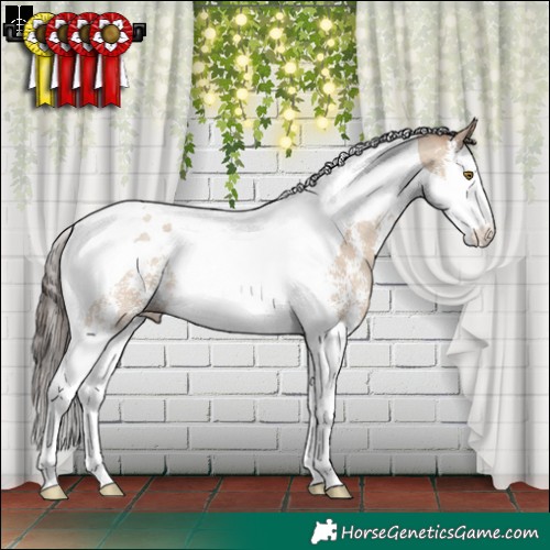 Horse Color:Classic Champagne Dun Sabino Splash Tobiano Rabicano 