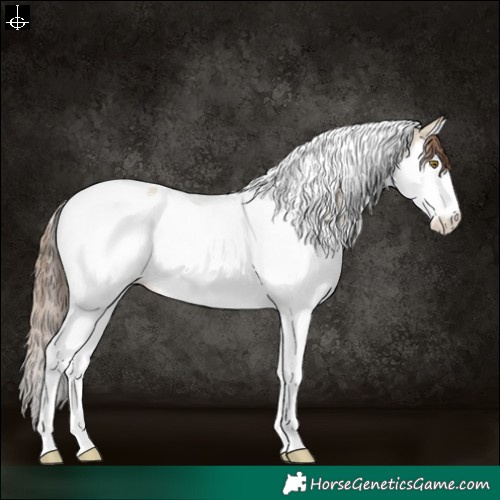 Horse Color:Classic Champagne Dun Sabino Splash Tobiano Blanket Rabicano 