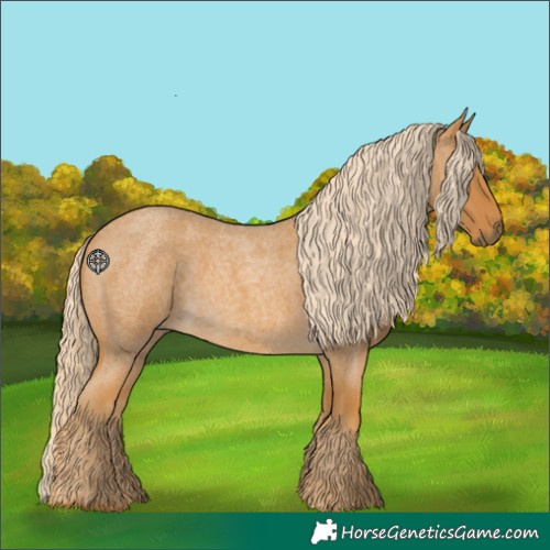 Horse Color:Palomino Roan 