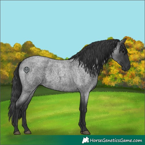 Horse Color:Blue Roan 