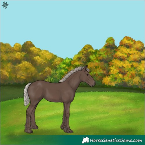 Horse Color:Silver Black 