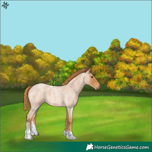 Horse Color:Red Roan Tobiano