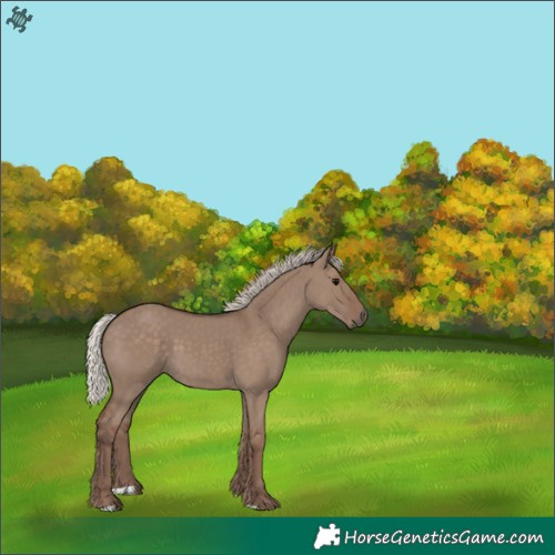 Horse Color:Silver Grullo 